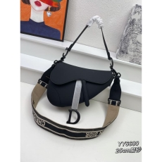 Dior Saddle Bags